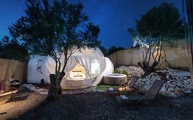 Luxury Bubble Suites